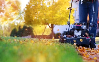 Feuillicyclage : donnez une seconde vie à vos feuilles d’automne