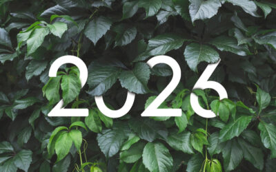 2026 : des résolutions concrètes pour le quotidien